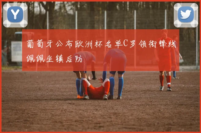 葡萄牙公布欧洲杯名单C罗领衔锋线佩佩坐镇后防