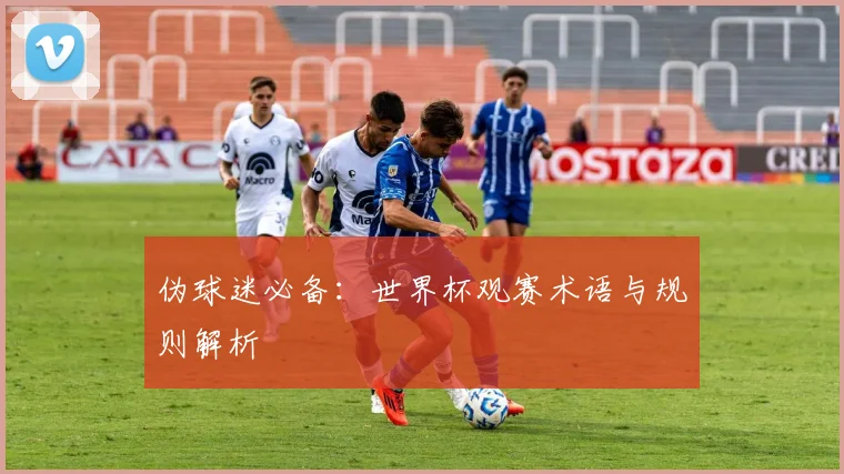 伪球迷必备：世界杯观赛术语与规则解析