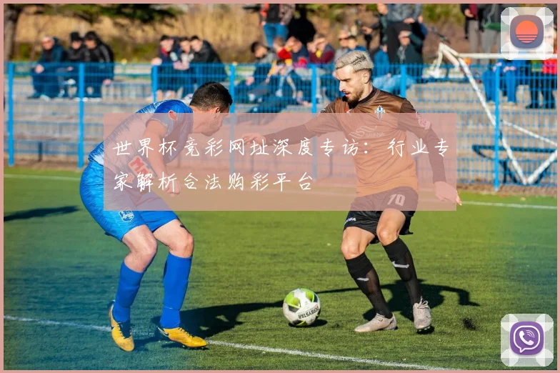世界杯竞彩网址深度专访：行业专家解析合法购彩平台