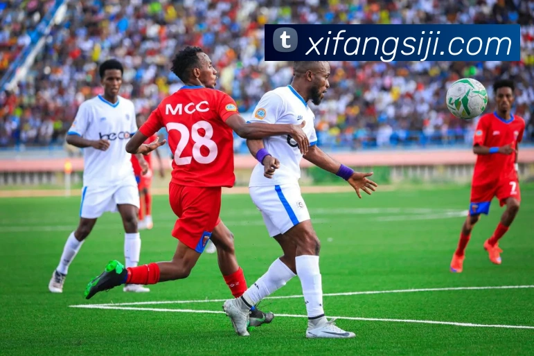 多媒体互动体验